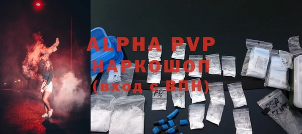 индика Кулебаки