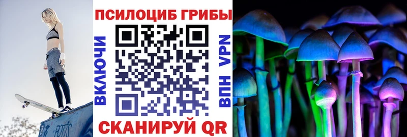 где купить   Партизанск  Псилоцибиновые грибы прущие грибы 