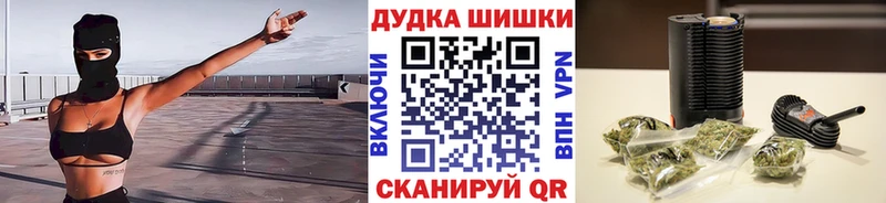 Шишки марихуана индика  продажа наркотиков  Партизанск 